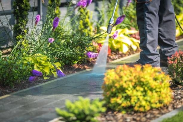 Best Winterizing Services  in Buena, NJ