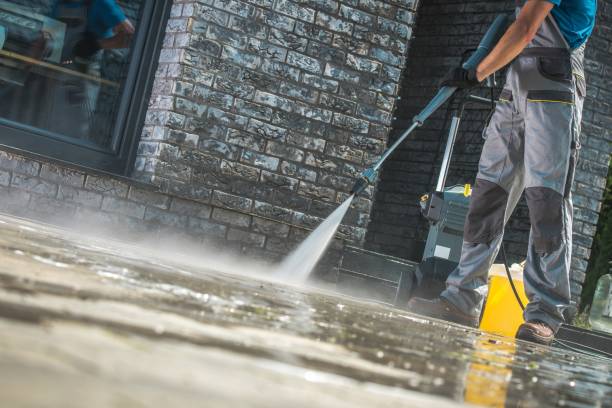 Best Gutter Cleaning  in Buena, NJ
