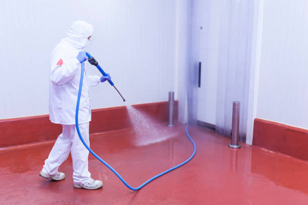 Best Roof Washing  in Buena, NJ