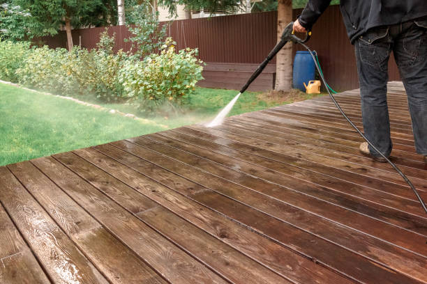 Animal Enclosure Cleaning in Buena, NJ